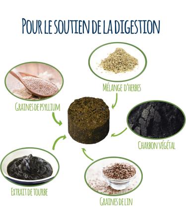 Schn ffelfreunde Magen Darm - Dog I Digestive Supplements for Dogs - Tablets for Digestive and Gastric Support - Made in Germany (150g) - Buy Online on GoSupps.com