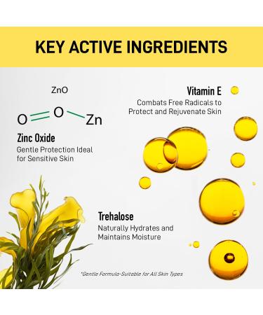 Enaskin Naturals Universal BB Cream - Tinted Moisturizer for Mature Skin | Oil-Free Sheer Coverage | 1.7 oz - International Shipping Available - Buy Online on GoSupps.com