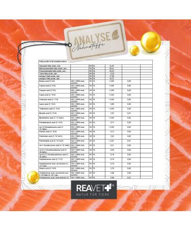 Reavet Salmon Oil for Dogs 1L - Omega 3 & 6 High Dose Additive-Free Freshly Bottled in Germany - 2024 - Buy Online on GoSupps.com