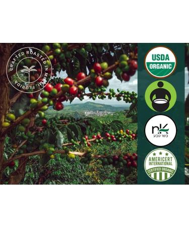 100% USDA Certified Organic Coffee - Nespresso Compatible Capsules - White Rhino Espresso Signature Blend (10 Pods) - Buy Online on GoSupps.com