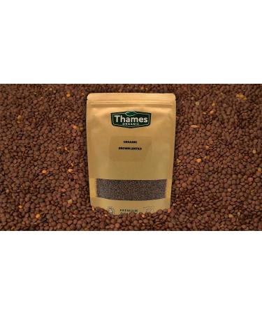 Thames Organic 500g Brown Lentils - High Fiber, High Protein, No Additives, Raw Vegan - Ideal for Soups, Salads, Curries - Nutritious & Flavorful - GMO-Free - Buy Online on GoSupps.com