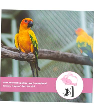 BESPORTBLE 5 Sets Bird Leash Bird Harness Vest Bird Flying Harness Conure Harness Elastic Cotton Pink 12X6X1.3CMx5pcs Pinkx5pcs - Buy Online on GoSupps.com