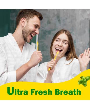 Bamboo Activated Charcoal Tooth Powder - Remineralizing Teeth Whitening with Refreshing Mint - 60g - Buy Online on GoSupps.com