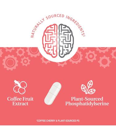 21st Century Brilliant Brain Performance - Boost Cognitive Function | 30 Capsules - Buy Online on GoSupps.com