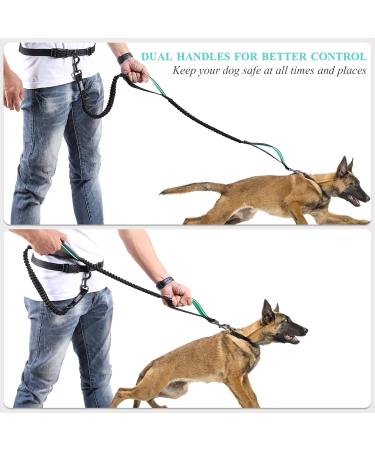 Vivaglory Reflective Waist Dog Leash | Free-Handed Bungee Leash for Medium & Large Dogs | Double Padded Handles | Perfect for Jogging & Training | Adjustable Waist 65-112cm - Black/Turquoise - Buy Online on GoSupps.com