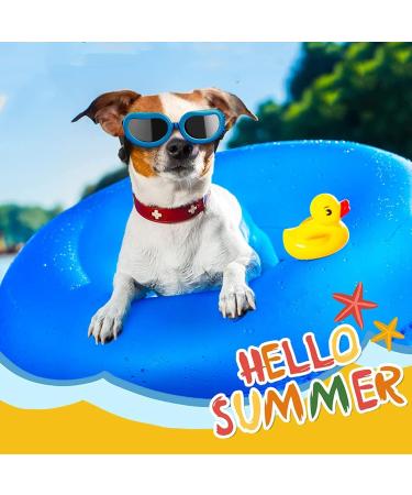 Buy Waterproof UV Protection Sunglasses for Dogs | Anti-UV Dog Glasses for Small & Medium Breeds - Buy Online on GoSupps.com