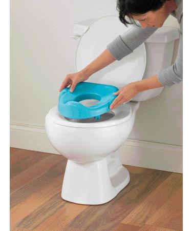 Fisher-Price Potty Training Seat with Lights, Sounds & Phrases - Toddler Toilet with Removable Seat - Learn-to-Flush Potty (Frustration-Free Packaging) - Buy Online on GoSupps.com