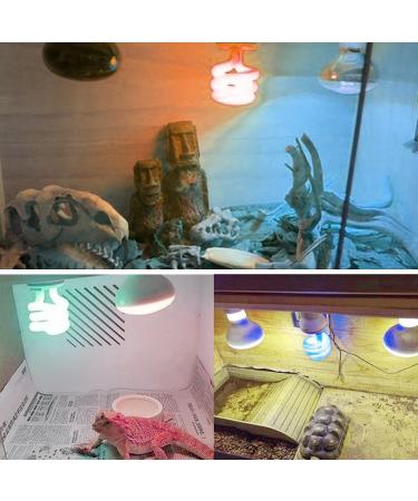Dernord UVB & UVA Light Bulb 5.0 - 15W Compact UV Lamp for Lizards Geckos Turtles & Snakes - Ideal for Reptile Habitat - Buy Online on GoSupps.com