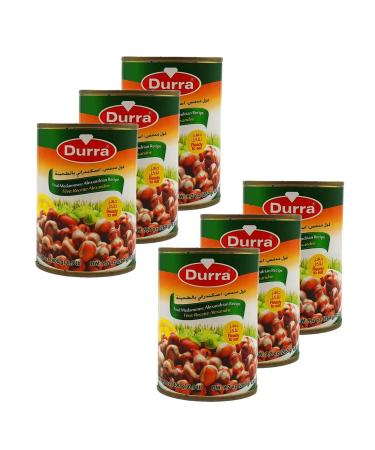 Lot 6x Foul medammes Alexandria recipe bean (tahini) - Box 400g