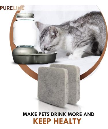 PureLine Petmate Replendish Water Filter Replacement  Also Compatible with Petmate Mason and Petmate Replendish and Mason Gravity Waterer Bowls. with Advanced Filtration (12 Pack) - Buy Online on GoSupps.com