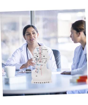 Buy Minkissy Acupuncture Point Model - Human Head Model for Head Massage & Acupuncture - 22x12x8cm - White PVC - International Shipping Available - Buy Online on GoSupps.com