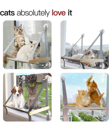 Collapsible Cat Window Perch Hammock Supports 40lbs | Large Bed for Indoor Cats - Buy Online on GoSupps.com