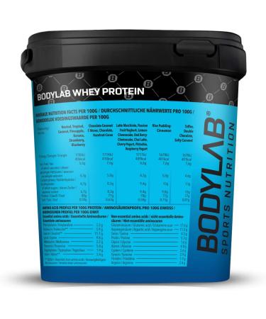Bodylab24 Whey Protein Powder - Chocolate-Mint Flavor 2kg | Buy Premium Protein Online Worldwide - Buy Online on GoSupps.com