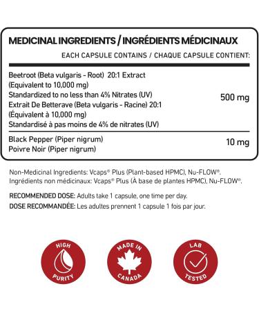 10 000mg 20x Concentrated Beetroot Capsules Extract 4% Standardized with Black Pepper Vegan All-Natural Antioxidant for Men & Women - 4 Month Supply - 120 Count | Made in Canada - Buy Online on GoSupps.com