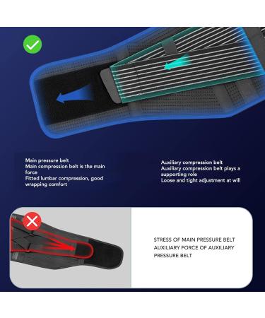 TBES Lordosis Support Belt | Comfortable Steel Plate Back Support & Double Compression Waist Belt | XL 59 60 cm | International Shipping Available - Buy Online on GoSupps.com