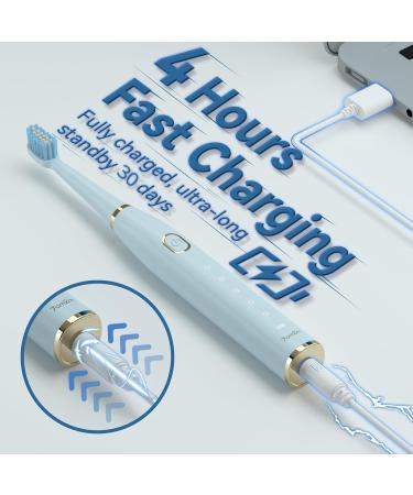 7AM2M Sonic Electric Toothbrush - Rechargeable for Adults & Kids 8 Brush Heads 5 Modes Smart Timer Fast Charge - Blue & Light Blue - Buy Online on GoSupps.com