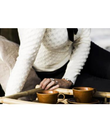Organic Black Currant Premium Pyramid Tea Bags - 20 Count Pack | High-Grown Organic White Tea Blend | Biodegradable Tea Bags for Tea Lovers - Buy Online on GoSupps.com