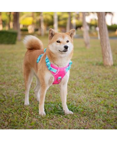 Phoepet No Pull Dog Harness - Reflective Vest with Soft Training Handle for All Sizes (Pink & Green) - Buy Online on GoSupps.com
