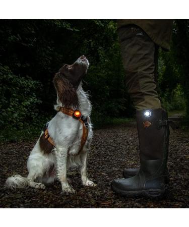 Orbiloc Yellow Safety Light for Dog Collars - Enhance Pet Visibility & Safety | International Shipping Available - Buy Online on GoSupps.com