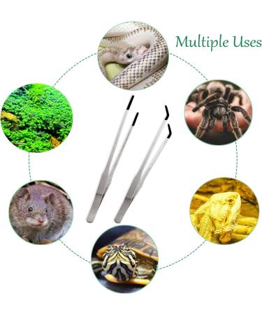 Evago 10.6 Stainless Steel Aquarium Tweezers | Curved & Straight Rubber-Tipped Feeding Pliers for Aquatic Plants & Reptiles - Buy Online on GoSupps.com