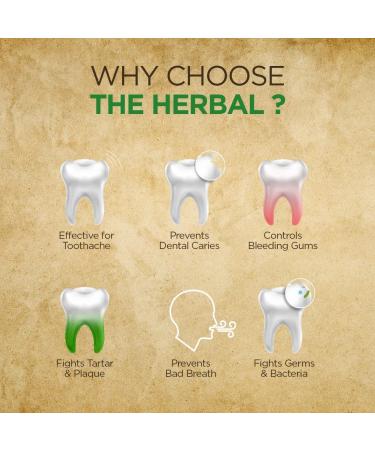 Bo-tanicall' Herbal Toothpaste 100g | Natural Ingredients | Fluoride-Free No SLS Sugar-Free | Fresh Breath & Gentle Clean - Buy Online on GoSupps.com