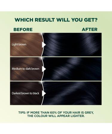 Garnier Nutrisse Ultra Cr me Permanent Hair Dye 100% Grey Coverage Vegan Formula Nourished Hair Long-Lasting Rich Colour 21 Blue Black 1 Application Packaging May Vary - Buy Online on GoSupps.com