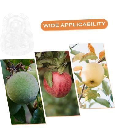 ORFOFE 2pcs Shaped Growth Fruit Buddha Baby Shaper Small Watermelon Accessories - Buy Online on GoSupps.com