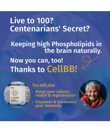 CellBB - Immune Equilibrium: bio-active phospho-lipids NK cells activator and cell membrane repair. Boost brain & cardiovascular and immune health at the cellular level for anti-aging and longevity. - Buy Online on GoSupps.com
