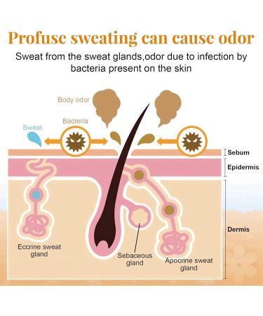 Sweat Absorbing Face Lotion Antiperspirant and Oil Control Lotion Face Discourage Sweat Stop Face Sweating Sweat Absorbing Face Lotion Face Saver Sweat Gel Excessive Sweating Treatment Stop Sweating - Buy Online on GoSupps.com