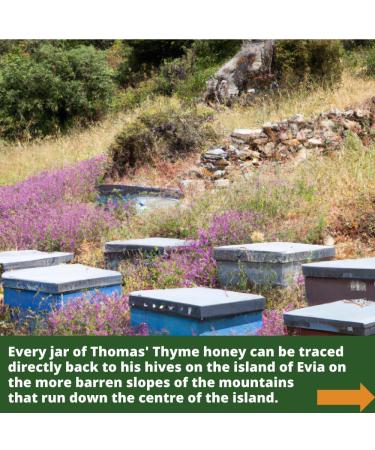 Thomas raw Greek wild thyme honey 1 kg antibacterial pure wilderness honey unpasteurized single origin The Raw Honey Shop Thyme 1 kg Pack of 1 - Buy Online on GoSupps.com