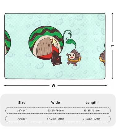 YYHHAOFA Sunflower Seeds Watermelon Seeds Picture Flannel Anti-Slip Floor mat 36"x24" : Fine Velvet Non-Slip Durable Soft - Buy Online on GoSupps.com