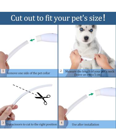 Coolzon LED Light Neck Band Collar - Waterproof 3-Color Adjustable for Cats & Dogs - Super Bright & Multi-Colored - Buy Online on GoSupps.com