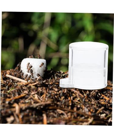 Yardwe 2pcs Ant Water Feeder Ant Habitat Ant House Mini Ant Nest Pet Feeder Transparent Acrylic - Buy Online on GoSupps.com