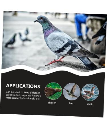 Angoily 300 Pcs Pigeon Anklet Duck Oyster Shell for Pigeon Identification Ring Network Management Bayonet 1.3X1.3CMx3pcs Blackx3pcs - Buy Online on GoSupps.com