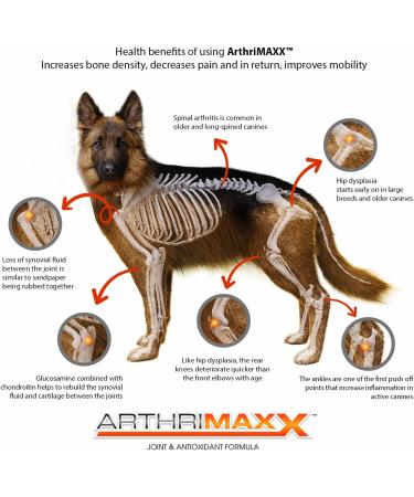 ArthriMAXX 32oz Joint Supplement for Dogs - Natural Anti-Inflammatory with Glucosamine & Chondroitin - Buy Online on GoSupps.com