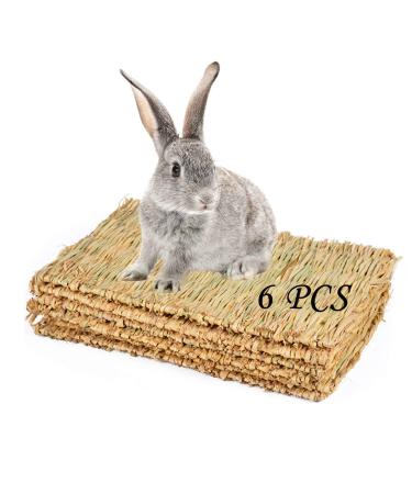 PINVNBY Grass Mat for Rabbit, Bunny Natural Straw Woven Bed, Small Animal Cages Hay Mat Sleeping Chewing, Nesting and Toys for Bunny Guinea Pig Hamster and Rat Bed Mat 6 Pcs