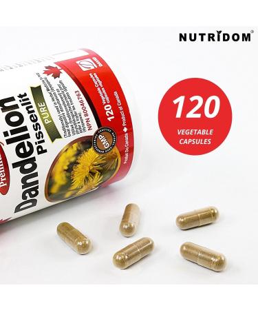 Nutridom Dandelion Root Capsules | 10 000mg Per Day | 10x Extra Strength Traditional Herbal Supplement for Liver Detox & Cleanse Non-GMO Gluten-Free Soy-Free Dairy-Free Made in Canada 60-Day-Supply (120 Veggie Capsules) - Buy Online on GoSupps.com