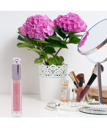 Christian Dior Addict Lip Maximizer High Volume Lip Plumper 0.2oz Pink - Women's Lip Enhancer - Buy Online on GoSupps.com