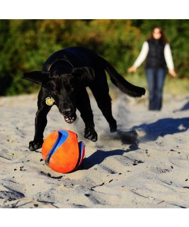 Buy ChuckIt Kick Fetch Floating Dog Toy Ball 19 cm - Large | Netproshop International Shipping - Buy Online on GoSupps.com