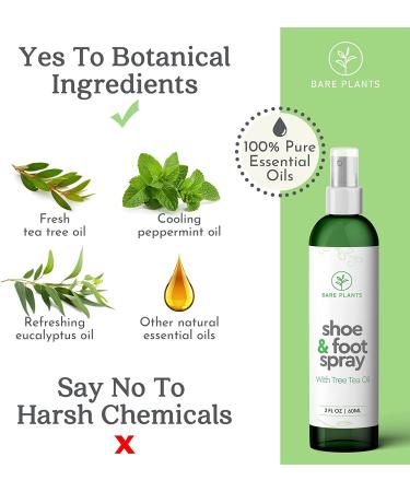 Bare Plants Tea Tree Shoe Deodorizer Spray - 2 Pack Natural Foot Odor Eliminator for Boots, Sneakers, and Loafers - Buy Online on GoSupps.com