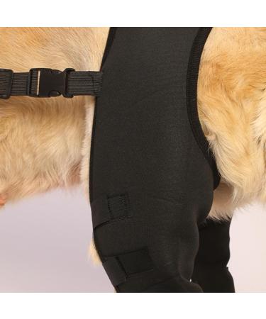 WOBBLO Support for Dog Knee Brace for Rear Leg | Pet Leg Wounds Protector Hip Joint Support Protects Wounds for Small and Medium Dogs - Buy Online on GoSupps.com