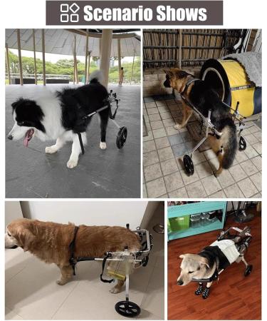 Dog Wheelchair Dog Wheelchair for Back Legs Walk Tool Adjustable Pet Wheelchair Assisted Walker Tool Pet Wheelchair Portable XX-Large - Buy Online on GoSupps.com