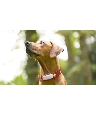 Hunter Collar L-XL (70) Red/Black | Tractive GPS Tracker for Dogs Unlimited Range & Durable Dog Collar - Buy Online on GoSupps.com