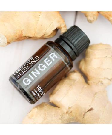 Nature's Fusions Ginger Root 100% Pure and Natural Essential Oils Undiluted Therapeutic Grade for Aromatherapy and Topical Use .5 Fl Oz (Pack of 1) (15 mL) - Buy Online on GoSupps.com