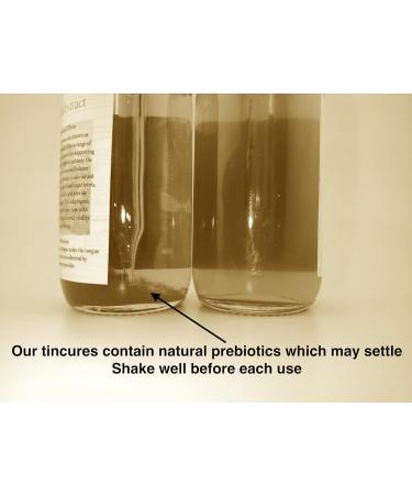 Organic Lion's Mane Mushroom Tincture - Cognitive Support Extract 2oz Double-Extracted Brain Health Supplement by Stajcar Stoneworks - Buy Online on GoSupps.com