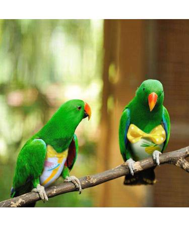KAMA BRIDAL Bird Diaper Parrot Washable Diaper Nappies for Pigeon Parakeet Cockatiel Macaw Budgie Canary Flight Suit 2 Pcs - Buy Online on GoSupps.com