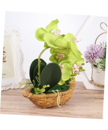 TOPBATHY 3pcs Rn Gift Phalaenopsis Home Accents Decor The Gift Home Forniture Decor Artificial Flower Bonsai Decor for Home Office Decor Garden Simulated Plant Double Fork Fake Orchid Greenx3pcs 27*17.5cmx3pcs - Buy Online on GoSupps.com