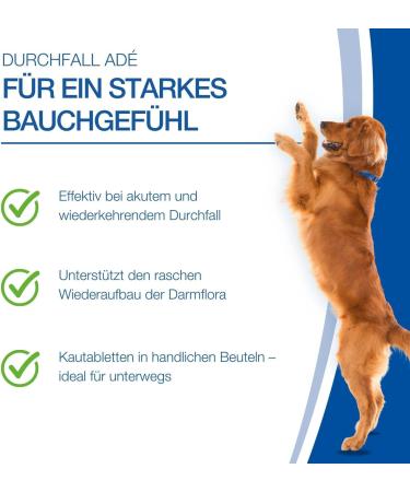 Nutrilabs Estifor Tablets for Dogs - 10 Digestive & Intestinal Health Supplements with Bentonite Yeast Extracts & Prebiotics - Premium Dog Dietary Products - Buy Online on GoSupps.com