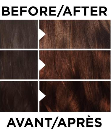 L Or al Paris Casting Natural Gloss Hair Color 553 Spiced Auburn High Shine Hair Gloss Hair Dye 1 EA - Buy Online on GoSupps.com