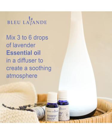 Buy Bleu Lavande Premium True Lavender Essential Oil - 100% Pure Therapeutic Grade Vegan & Cruelty-Free - Aromatherapy 0.5 fl oz - International Shipping Available - Buy Online on GoSupps.com